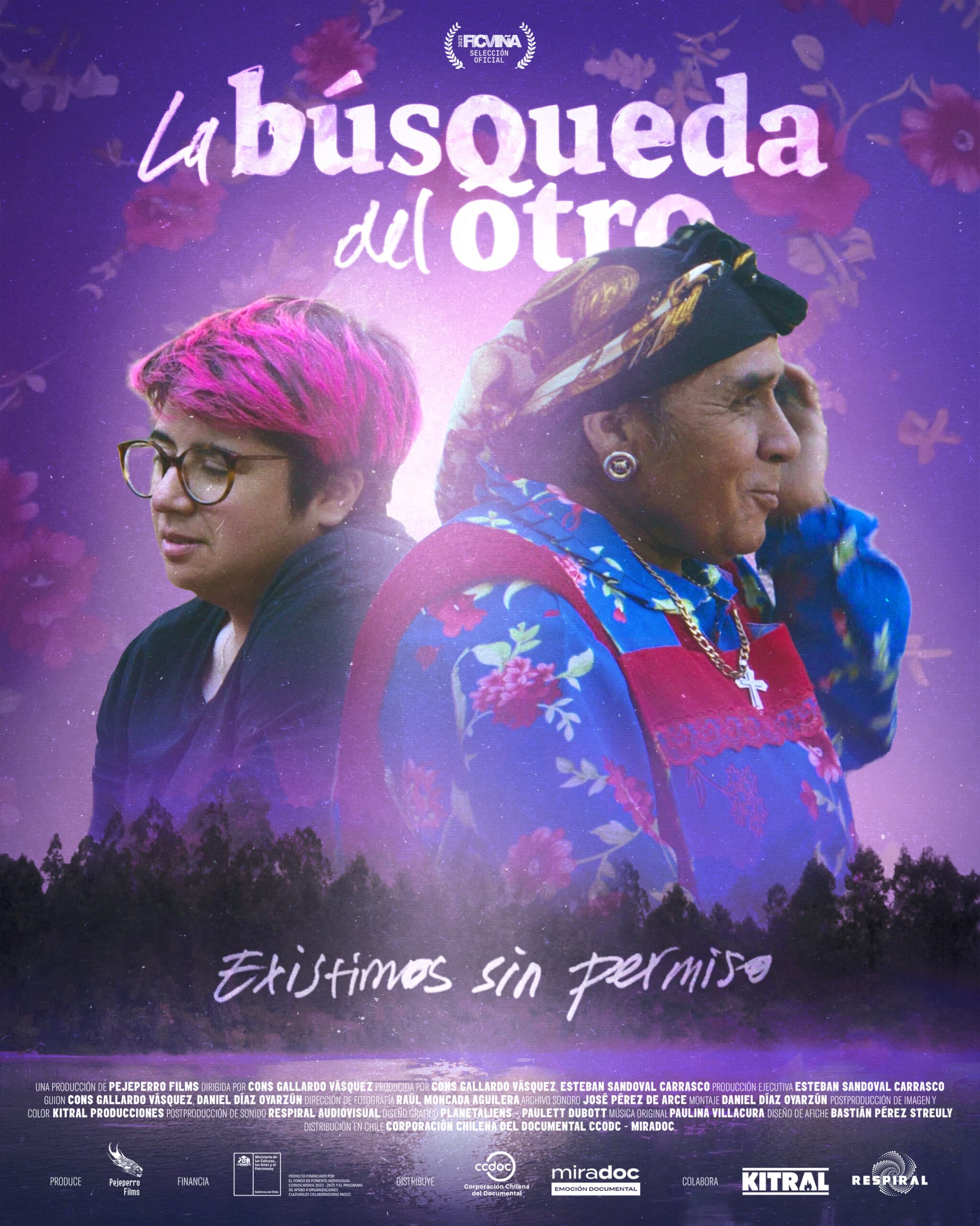 Póster de La búsqueda del otro