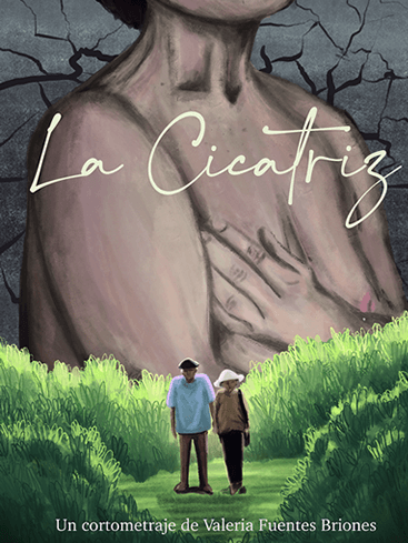 Póster de La cicatriz