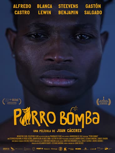 Póster de Perro Bomba